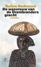 9789029552981 De wasvrouw van de Drambrandersgracht, Verzenden, Zo goed als nieuw, Roline Redmond