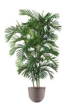 Areca Palm kunstplant, H190cm, Ophalen of Verzenden
