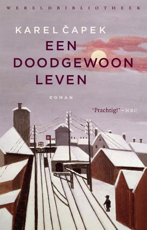 Een doodgewoon leven 9789028427297 Karel apek, Boeken, Romans, Zo goed als nieuw, Verzenden