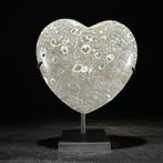 Decoratief ornament (2) - NO RESERVE PRICE - Stunning Pair