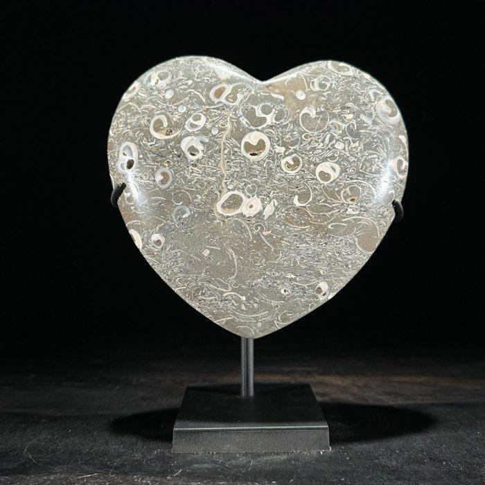 Decoratief ornament (2) - NO RESERVE PRICE - Stunning Pair, Antiek en Kunst, Kunst | Designobjecten