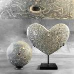 Prachtig paar Turritella - Fossiel fragment - Sphere and