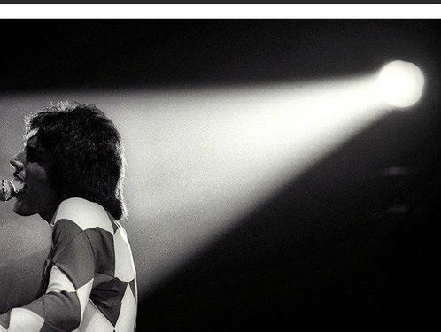 Martyn Goddard - Freddie Mercury of Queen, Antiek en Kunst, Kunst | Schilderijen | Modern