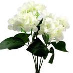 Hortensia groot hydrangea bush new ivory 49 cm. groot!, Huis en Inrichting, Ophalen of Verzenden, Nieuw