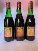 1954 R. López de Heredia, Viña Bosconia - Rioja - 3 Flessen, Nieuw