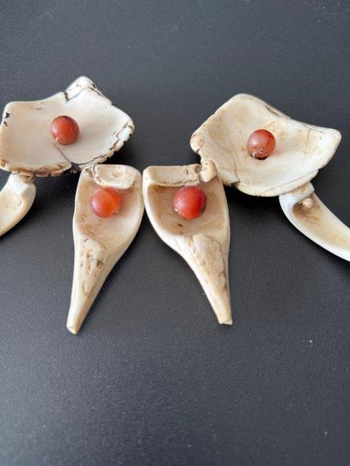 collier en schelp - Naga - Nagaland, Antiek en Kunst, Kunst | Niet-Westerse kunst
