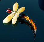 Amber Zeer zeldzame exclusieve amber libelspeld - Echt