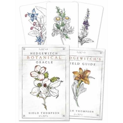 Hedgewitch Botanical Oracle, Boeken, Esoterie en Spiritualiteit, Nieuw, Ophalen of Verzenden