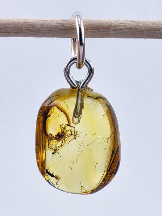 Museumkwaliteit Baltisch amberhanger – grote spin- en, Antiek en Kunst, Curiosa en Brocante