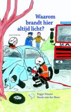 Waarom brandt hier altijd licht? 9789085620518, Boeken, Kinderboeken | Jeugd | onder 10 jaar, Verzenden, Zo goed als nieuw, B. van der Meer