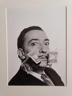 Philippe Halsman - Dali portrait, 1954