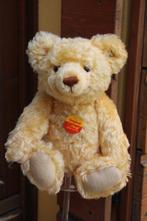 Steiff: Original Teddybeer, blank knoopje - Teddybeer -, Antiek en Kunst