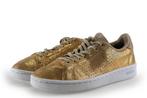 Adidas sneakers in maat 36 Goud | 25% korting, Kleding | Dames, Overige kleuren, Verzenden, Adidas, Sneakers of Gympen