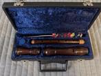 Hans Coolsma ALT blokfluit Pallisander (2e kans), Verzenden, Gebruikt, Alt, Met koffer, hoes of etui