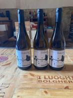 2022 Terenzuola, Permano - Toscane - 3 Fles (0,75 liter), Nieuw