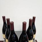 2023 Terlan, Pinot Noir - Trentino Alto Adige - 6 Flessen, Verzamelen, Wijnen, Nieuw