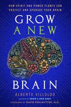 9781401973186 Grow a New Brain Alberto Villoldo, Verzenden, Nieuw, Alberto Villoldo