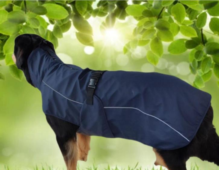 Trixie Be Nordic Regenjas: Stijlvolle bescherming voor Jouw, Dieren en Toebehoren, Hondenkleding, Hondenregenjas, Nieuw, Verzenden