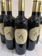 Bodega y Viñedos Solabal, Esculle de Solabal - Rioja DOC - 6, Nieuw