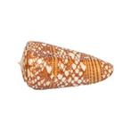 ultra Musterung  kwaliteit Fine+++  Taxidermie wandmontage, Nieuw