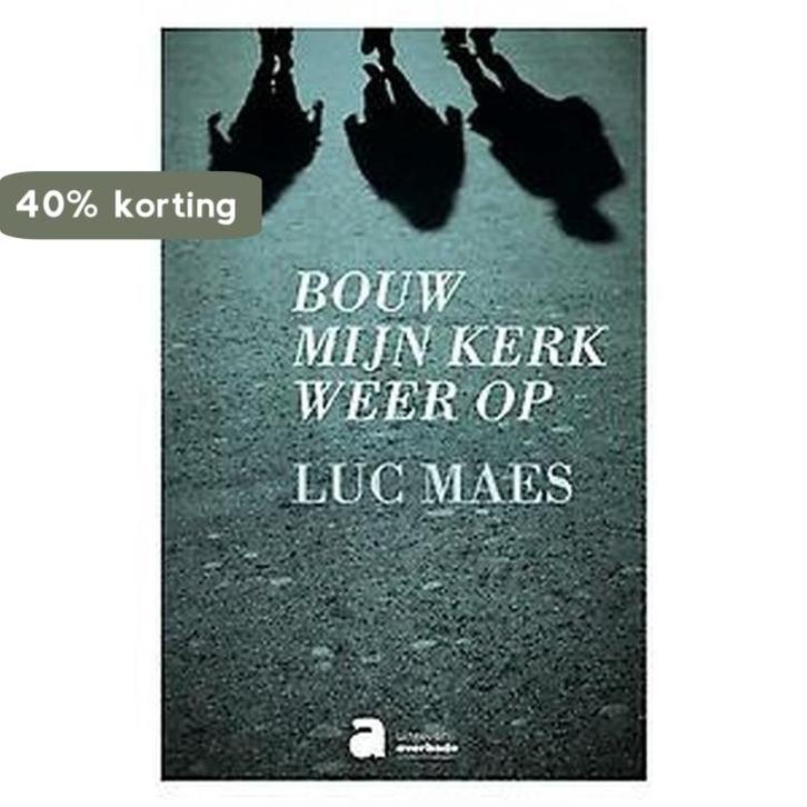 Bouw mijn Kerk weer op 9782808102872 Luc Maes, Boeken, Godsdienst en Theologie, Zo goed als nieuw, Verzenden
