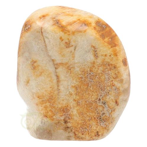 Fossiel koraal sculptuur Nr 1 - 683 gram, Sieraden, Tassen en Uiterlijk, Edelstenen, Nieuw, Verzenden