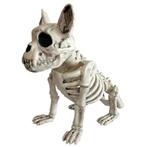 Skelet hond 28cm, Nieuw, Ophalen of Verzenden