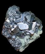 MUSEUM-kwaliteit Galena • 1350 ct • GEEN MINIMUMPRIJS •