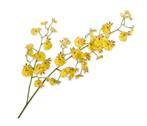 Kunsttak Orchidee geel 78 cm - Buitengewoon de Boet, Nieuw, Verzenden