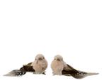 Vogeltje Creme Bruin naturel op clip SET 2 stuks, Ophalen of Verzenden, Nieuw