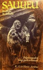 Saulieu basilique saint andoche 9789060381311 Horst Arriens, Verzenden, Gelezen, Horst Arriens