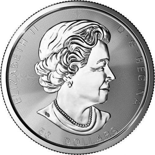 Canada. 50 Dollars 2018 10 oz $50 Canadian Snowy Owl Silver, Postzegels en Munten, Edelmetalen en Baren