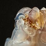 Ursula van de Bunte - Coke-Jelly