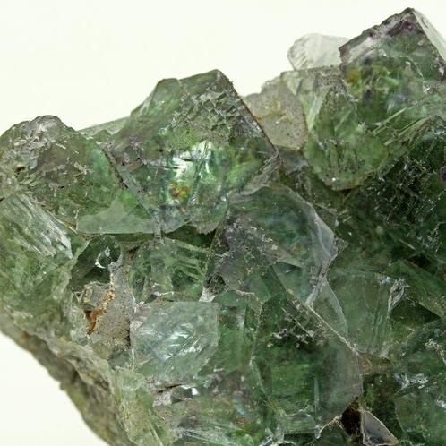 Gratis verzending! Fluoriet heldergroen Kristallen op matrix, Verzamelen, Mineralen en Fossielen