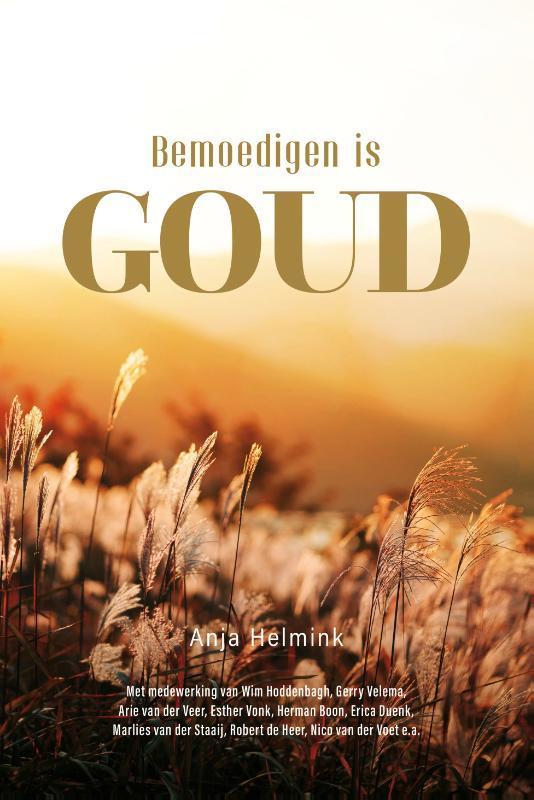 Bemoedigen is Goud 9789083117348 Anja Helmink, Boeken, Godsdienst en Theologie, Zo goed als nieuw, Verzenden
