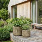 Set van 2 lage plantenpotten - naturel - Ø 33 x 30 cm / Ø 45, Huis en Inrichting, Kamerplanten, Verzenden