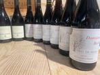 2018 x 6 Domaine Chasselvin Crozes-Hermitage & 2010 x 6, Nieuw