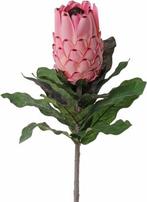 Protea Baardsuikerbos 12 cm met geflockte steel 75 cm, Ophalen of Verzenden, Nieuw