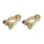 ProPlus Accupoolklemmen set - messing en staal - M8 bout..., Ophalen of Verzenden, Nieuw