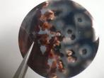 Natural blue and brown Agate - 38.948 ct - round - rare suma, Nieuw