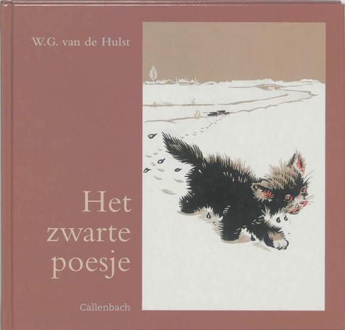 Het zwarte poesje 9789026612831 W.G. van de Hulst, Boeken, Kinderboeken | Jeugd | onder 10 jaar, Gelezen, Verzenden
