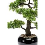 Emerald Kunstplant mini bonsai ficus groen 47 cm 420006, Nieuw, Verzenden