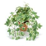 Kunstplant klimop groen/wit in terracotta pot 30 cm  - Kun.., Huis en Inrichting, Kamerplanten, Ophalen of Verzenden
