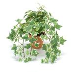 Kunstplant klimop groen/wit in terracotta pot 30 cm  - Kun..