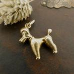 Gouden hanger van een hond | Poedel (kettinghanger), Overige merken, Goud, Gebruikt, Ophalen of Verzenden