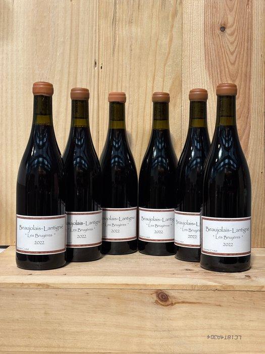 2022 Maxime Crotet - Les Bruyères - Beaujolais-Lantignié -, Verzamelen, Wijnen