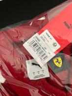 Ferrari - Formule 1 - 2025 - Autosport team poloshirt, Nieuw