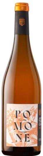 Ams Tram Gram Pomone Orange Wine, Verzamelen, Verzenden, Nieuw