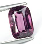 Zonder Minimumprijs Spinel - 1.66 ct - Antwerp Laboratory, Nieuw