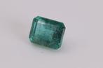 Zonder Minimumprijs - 1 pcs Groen Smaragd - 1.68 ct -, Nieuw